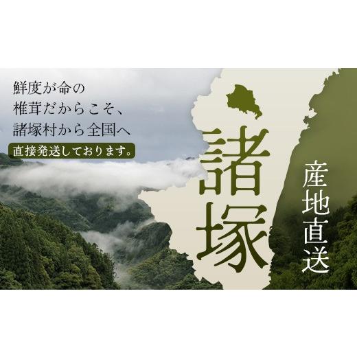ふるさと納税 野菜類 きのこ 宮崎県 諸塚村 先行予約 宮崎県諸塚村産 原木生椎茸 約650g［2026年9月〜11月ごろにお届け］冷蔵｜しいたけ 生シイタケ きのこ …_7