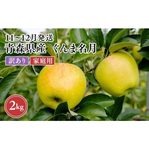 ふるさと納税 りんご 青森県 平川市 2026年11月〜12月発送 訳あり 家庭用ぐんま名月 約2kg 原田農園