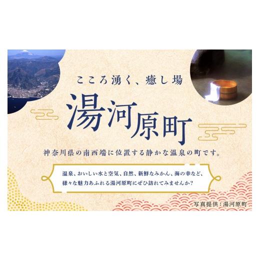 ふるさと納税 お食事券 神奈川県 湯河原町 十二庵お食事券（３，０００円分）| 豆腐 湯河原町 温泉街 ランチ チケット 観光_6