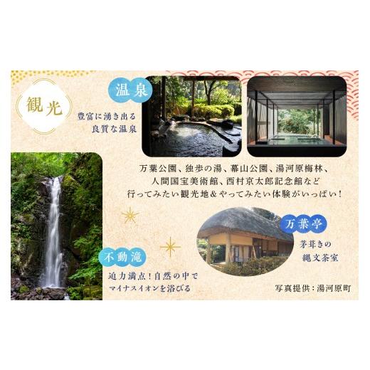 ふるさと納税 お食事券 神奈川県 湯河原町 十二庵お食事券（３，０００円分）| 豆腐 湯河原町 温泉街 ランチ チケット 観光_7