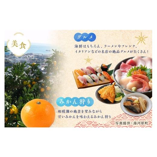 ふるさと納税 お食事券 神奈川県 湯河原町 十二庵お食事券（３，０００円分）| 豆腐 湯河原町 温泉街 ランチ チケット 観光_8