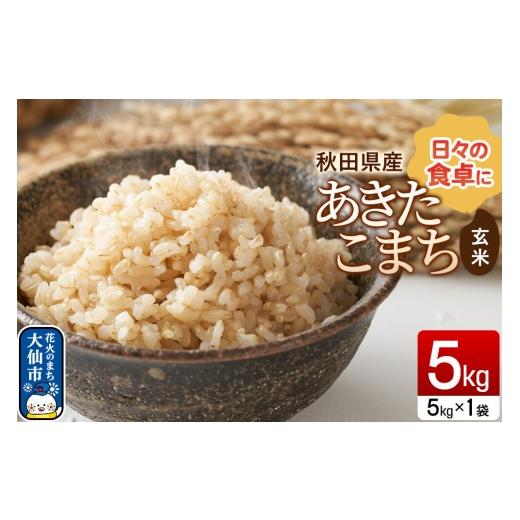 ふるさと納税 玄米 秋田県 大仙市 米 あきたこまち 玄米 5kg(5kg×1袋)令和7年産 秋田県産 玄米 ブランド米 5キロ 小分け 秋田県 大仙市 新興エコファーム 5…