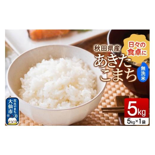 ふるさと納税 無洗米 秋田県 大仙市 米 あきたこまち 無洗米 5kg(5kg×1袋)令和7年産 秋田県産 無洗米 白米 ブランド米 5キロ 小分け 秋田県 大仙市 新興エ…
