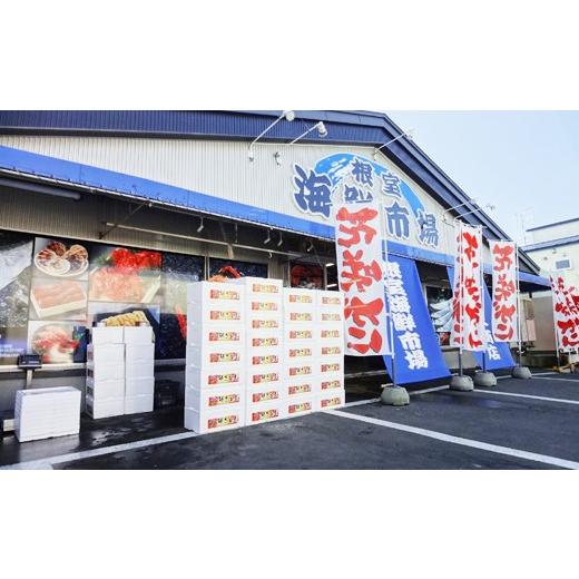 ふるさと納税 魚貝類 鮭 北海道 根室市 B-14126 北海道根室産 無添加甘汐天然紅鮭切身(1尾分)約1.2kg\u003c新物\u003e_3