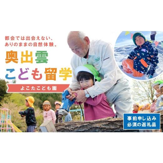 ふるさと納税 地域のお礼の品 島根県 奥出雲町 奥出雲こども留学(よこたこども園)割引券 3000円分 保育園 山村留学 親子留学 国内留学 体験型 教育 体験型返…