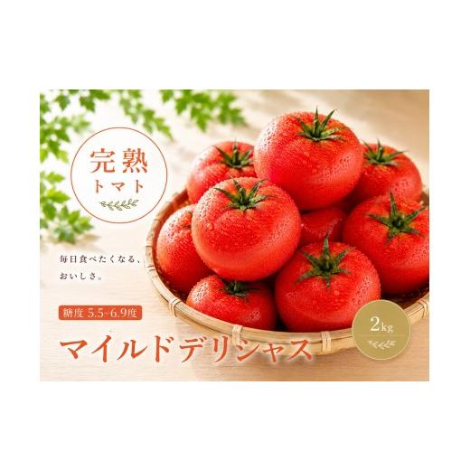 ふるさと納税 野菜類 トマト 宮城県 美里町 トマト デリシャスファームのトマト マイルドデリシャス 2kg 2キロ箱 ／ とまと 野菜 産地直送 農家直送 delf045_1