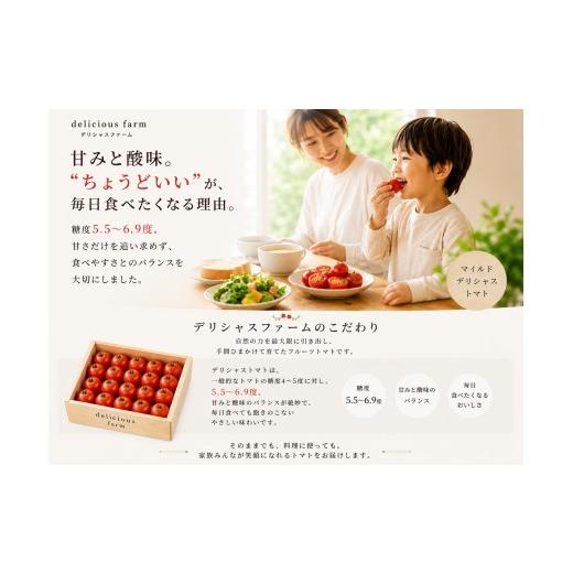 ふるさと納税 野菜類 トマト 宮城県 美里町 トマト デリシャスファームのトマト マイルドデリシャス 2kg 2キロ箱 ／ とまと 野菜 産地直送 農家直送 delf045_2