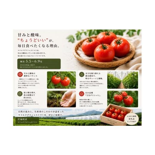 ふるさと納税 野菜類 トマト 宮城県 美里町 トマト デリシャスファームのトマト マイルドデリシャス 2kg 2キロ箱 ／ とまと 野菜 産地直送 農家直送 delf045_3