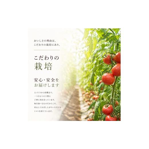 ふるさと納税 野菜類 トマト 宮城県 美里町 トマト デリシャスファームのトマト マイルドデリシャス 2kg 2キロ箱 ／ とまと 野菜 産地直送 農家直送 delf045_4