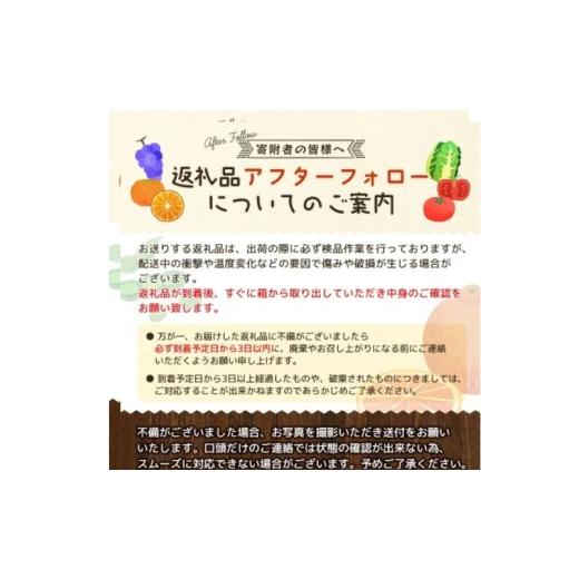 ふるさと納税 野菜類 トマト 宮城県 美里町 トマト デリシャスファームのトマト マイルドデリシャス 2kg 2キロ箱 ／ とまと 野菜 産地直送 農家直送 delf045_5