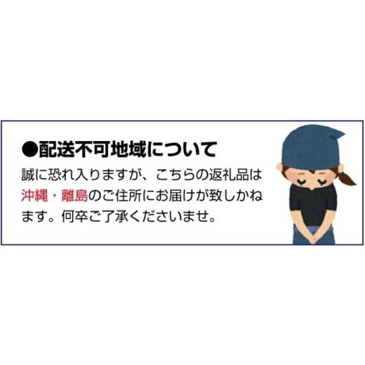 ふるさと納税 野菜類 トマト 宮城県 美里町 トマト デリシャスファームのトマト マイルドデリシャス 2kg 2キロ箱 ／ とまと 野菜 産地直送 農家直送 delf045_6