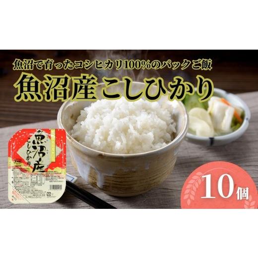 ふるさと納税 米 コシヒカリ 新潟県 小千谷市 パックご飯 魚沼産コシヒカリ 10個 たかの | パックご飯 パックライス ご飯 ご飯パック ごはんパック パック レ…