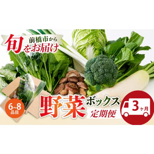 ふるさと納税 セット・詰合せ 群馬県 前橋市 季節の野菜 詰め合わせセット 3ヶ月定期便 | 野菜セット 新鮮 旬野菜 朝どれ 農家直送 旬 野菜 鮮度 赤城山麓 群…