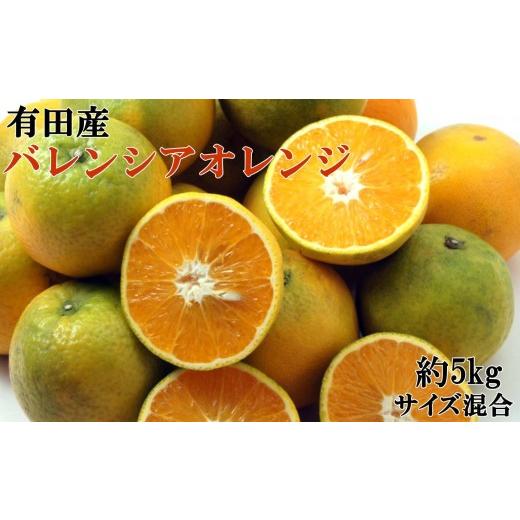 ふるさと納税 みかん・柑橘類 オレンジ 和歌山県 有田川町 [国産]有田産バレンシアオレンジ 約5kg(サイズ混合 秀・優品規格) 2026年7月中旬ごろより発送