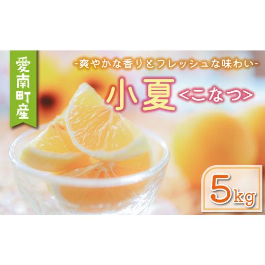 ふるさと納税 みかん・柑橘類 愛媛県 愛南町 訳あり 小夏 5kg サイズミックス 7000円 みかん mikan 蜜柑 ミカン こなつ 日向夏 ニューサマーオレンジ ひゅう…