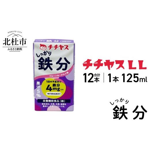 ふるさと納税 飲料類 山梨県 北杜市 チチヤスLLしっかり鉄分125ml(1ケース12本入り) しっかり鉄分