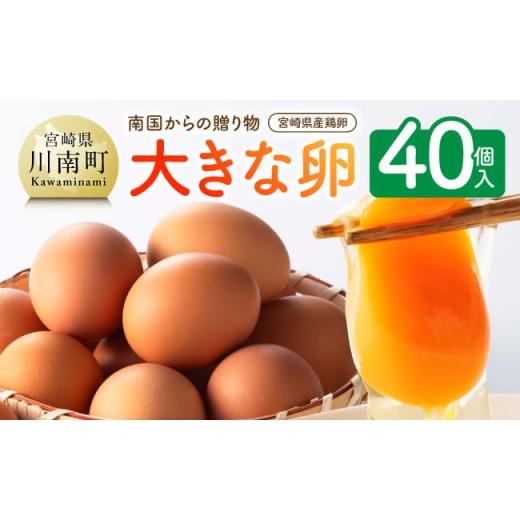 ふるさと納税 卵(鶏、烏骨鶏等) 宮崎県 川南町 宮崎県産鶏卵 「南国からの贈り物」大きな卵40個入り(35個+破損補償5個) たまご 卵 玉子 タマゴ 料理 鶏…