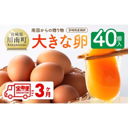 ふるさと納税 卵(鶏、烏骨鶏等) 宮崎県 川南町 3ヶ月定期便 宮崎県産鶏卵 「南国からの贈り物」大きな卵40個入り(35個+破損補償5個) たまご 卵 玉子 タ…