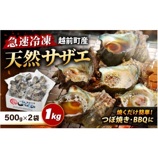 ふるさと納税 サザエ 福井県 越前町 先行予約 越前町産 天然 サザエ 1kg(500g×2袋) 2026年6月中旬より順次発送 つぼ焼 BBQ 海鮮 バーべキュー 小分け おつ…