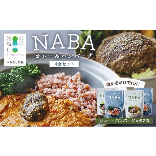 ふるさと納税 肉 宮崎県 諸塚村 NABAカレー バターチキンカレー&ハンバーグアンチョビソース掛け セット 2種各2食 計4食 常温|レトルトカレー カレーライス …