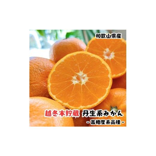 ふるさと納税 果物類 みかん 和歌山県 有田川町 越冬本貯蔵 丹生系 みかん 3kg 先行予約 高糖系みかん