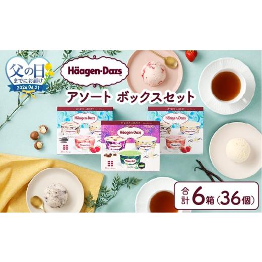 ふるさと納税 菓子 アイス 北海道 浜中町 父の日までにお届け ハーゲンダッツ『バラエティアソートボックス6箱セット』 アイス スイーツ デザート_H0016-124-…