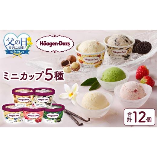 ふるさと納税 菓子 アイス 北海道 浜中町 父の日までにお届け ハーゲンダッツ『定番ミニカップ5種セット(合計12個)』アイスクリーム アイス スイーツ デザー…