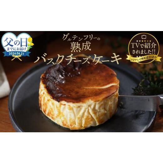 ふるさと納税 ケーキ・カステラ チーズケーキ 北海道 浜中町 父の日までにお届け テレビ番組 ヒルナンデスで紹介 熟成バスクチーズケーキ ケーキ チーズケー…