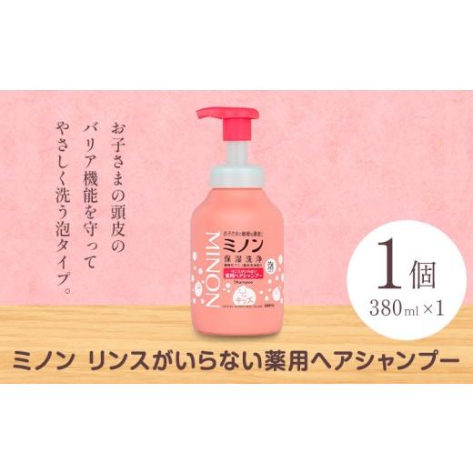 ふるさと納税 雑貨・日用品 岡山県 浅口市 ミノンリンスがいらない薬用ヘアシャンプー 380ml 本体 1個 第一三共ヘルスケア[2週間程度で出荷(土日祝除く)]岡…