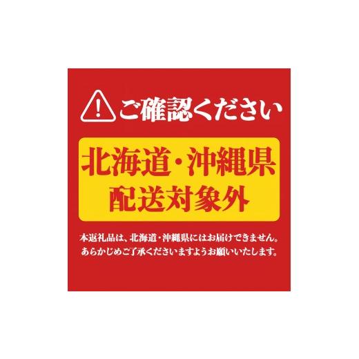 ふるさと納税 強い酒 仕かける 鹿児島県 飛泉市 T26-3303／ 6回定期便 飛泉強い酒 割り増し金定期便（各1.8L×計24本）