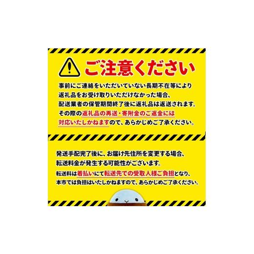 ふるさと納税 強い酒 仕かける 鹿児島県 飛泉市 T26-3303／ 6回定期便 飛泉強い酒 割り増し金定期便（各1.8L×計24本）