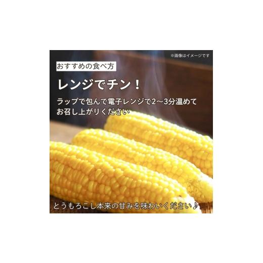 ふるさと納税 とうもろこし 京都府 - 先行予約 朝もぎ とうもろこし 20本 ゴールドラッシュ 《10月下旬より順次発送》 京都 京都府 コーン トウモロコシ 久御…_5