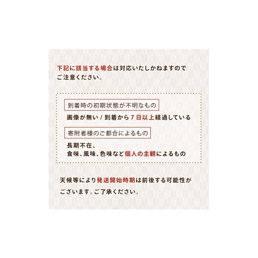 ふるさと納税 とうもろこし 京都府 - 先行予約 朝もぎ とうもろこし 20本 ゴールドラッシュ 《10月下旬より順次発送》 京都 京都府 コーン トウモロコシ 久御…_7
