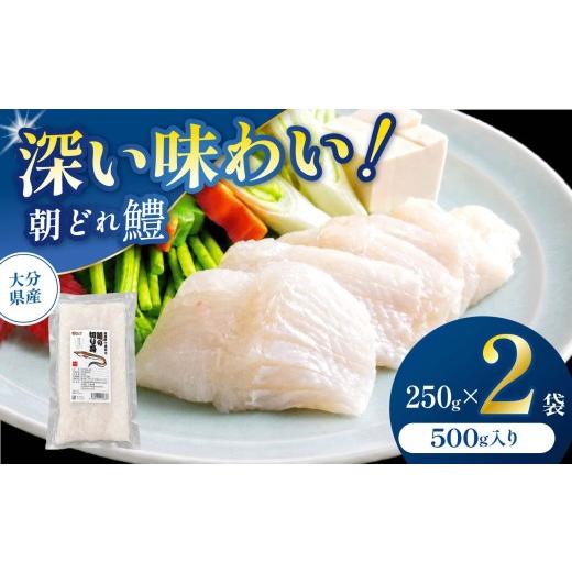 ふるさと納税 魚貝類 鱧 大分県 中津市 数量限定 鱧(はも)の切り身 250g×2袋 | 魚 さかな サカナ 切り身 きりみ はも 鱧 小分け ハモ 魚の切り身 お鍋 水…