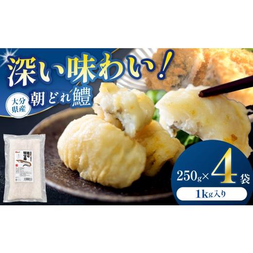 ふるさと納税 魚貝類 鱧 大分県 中津市 数量限定 鱧(はも)の切り身 250g×4袋 | 魚 さかな サカナ 切り身 きりみ はも 鱧 小分け ハモ 魚の切り身 お鍋 水…