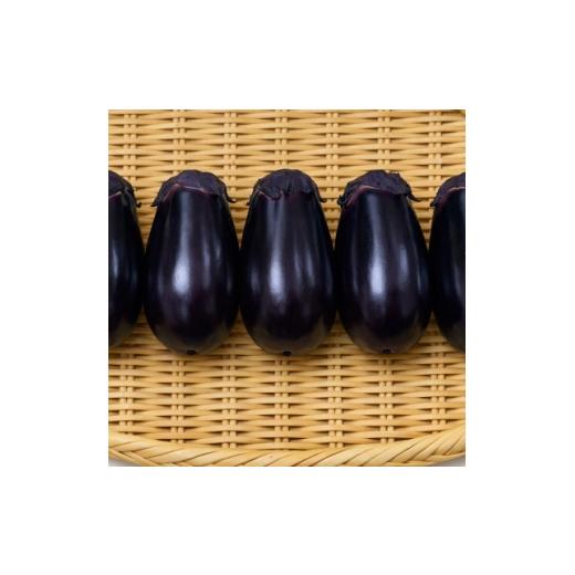 ふるさと納税 野菜類 茄子 大阪府 和泉市 水茄子 約3キロ 1734590