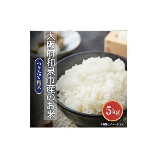 ふるさと納税 米 大阪府 和泉市 発送月固定定期便 大阪府和泉市の農家さんが心を込めて作ったお米 1袋5kg 単一品種 全3回 4086244