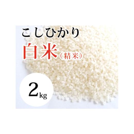 ふるさと納税 米 コシヒカリ 鳥取県 日吉津村 大山の一粒 白米 2kg