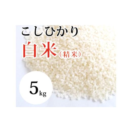 ふるさと納税 米 コシヒカリ 鳥取県 日吉津村 大山の一粒 白米 5kg 米 5kg 5キロ こめ コメ 先行予約 お米 白米 精米 こしひかり コシヒカリ ごはん ライス ko…