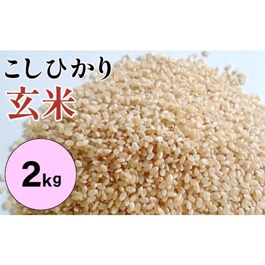 ふるさと納税 玄米 鳥取県 日吉津村 大山の一粒 玄米 2kg