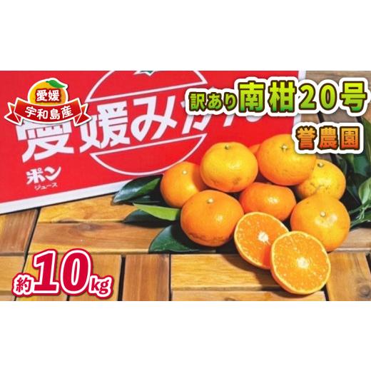 ふるさと納税 果物類 みかん 愛媛県 宇和島市 愛媛みかん 訳あり 南柑20号 10kg 誉農園 愛媛ミカン 愛媛蜜柑 みかん 蜜柑 mikan 果物 くだもの フルーツ 柑橘 …