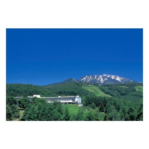 ふるさと納税 イベントやチケット等 愛知県 名古屋市 名古屋市民御岳休暇村宿泊券12,000円分 名古屋市民御岳休暇村応援寄附金専用