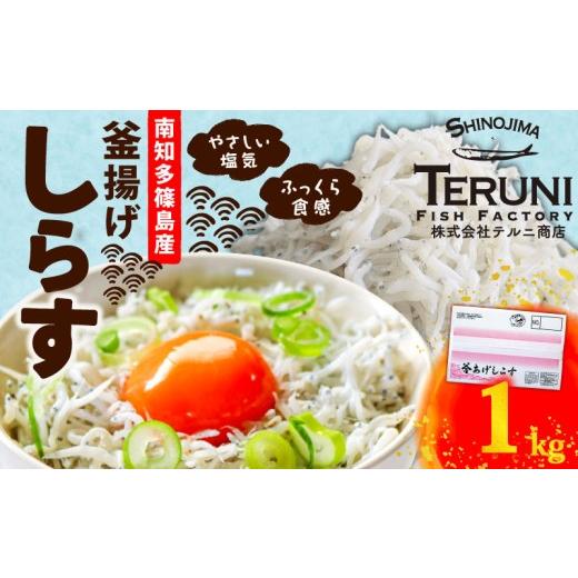 ふるさと納税 旬の鮮魚等 愛知県 南知多町 釜揚げ しらす 1kg 冷凍 テルニ商店 SIRASU 人気シラス 愛知県 南知多町 ご飯 ごはん 離乳食 丼 料理 国産 シラス …