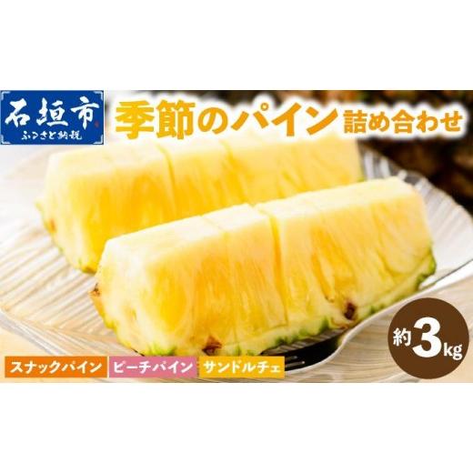 ふるさと納税 果物類 沖縄県 石垣市 まーぼーの季節のパイン詰め合わせ 約3kg 2026年4月〜5月順次発送 | パイン パイナップル フルーツ 果物 スナック ピーチ …