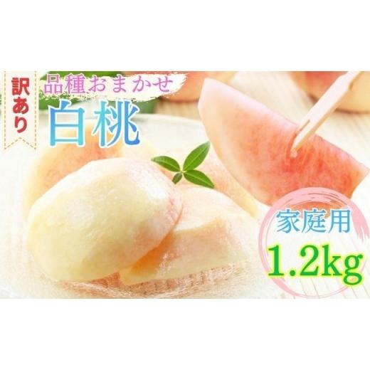ふるさと納税 もも 山形県 朝日町 山形県産 白桃 ご家庭用 1.2kg (3玉〜6玉) 2026年8月上旬から9月中旬発送 山形県 果物 フルーツ 桃 モモ もも 夏 送料無料