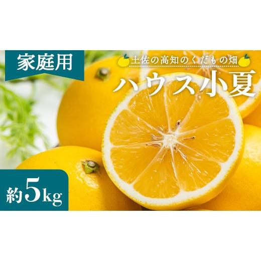 ふるさと納税 みかん・柑橘類 高知県 香南市 5月14日入金分まで今季発送 小夏 5kg 日向夏 訳あり 高知 家庭用 土佐 ハウス小夏 訳あり 日向夏 こなつ 果物 フ…