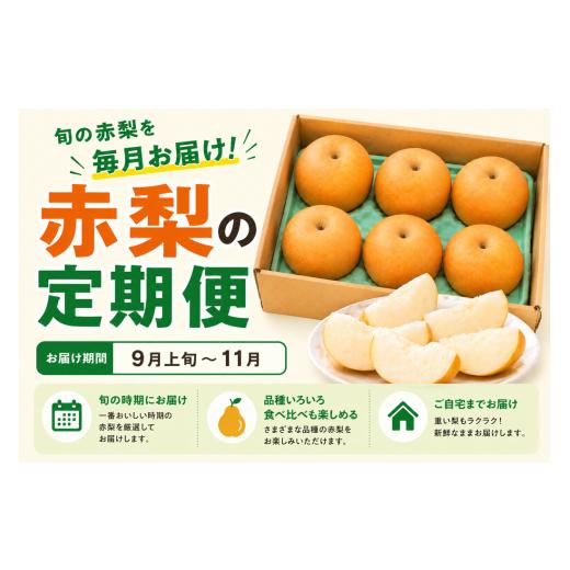 ふるさと納税 梨 鳥取県 八頭町 赤梨の定期便