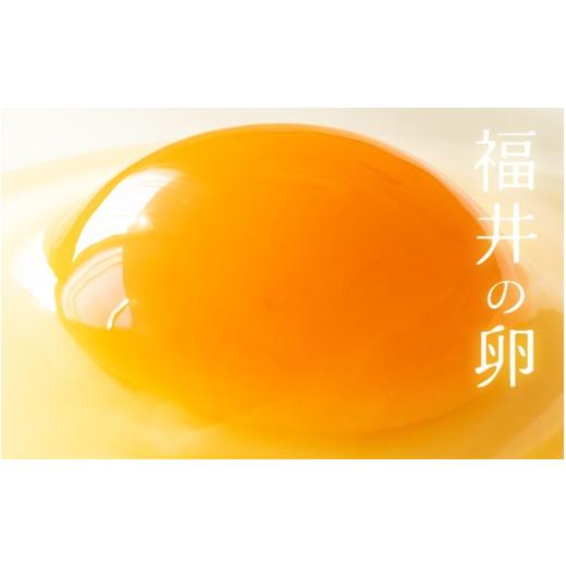 ふるさと納税 和菓子 どら焼き 福井県 坂井市  簡易包装 塩とあんこの絶妙なハーモニー 塩どら 10個セット スイーツ お菓子 和菓子 どら焼 どらやき A-12852_4