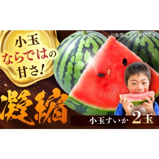 ふるさと納税 スイカ 熊本県 菊陽町 小玉スイカ2玉 / 西瓜 すいか フルーツ 果物 旬 熊本県 菊陽町 古閑農園