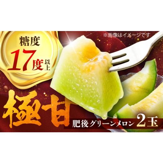 ふるさと納税 メロン メロン青肉 熊本県 菊陽町 先行予約 2026年5月上旬より順次発送 肥後グリーンメロン2玉 / メロン フルーツ 果物 ジューシー 旬 熊本県 …